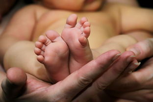 剖腹产横切和竖切哪个好区别是什么？